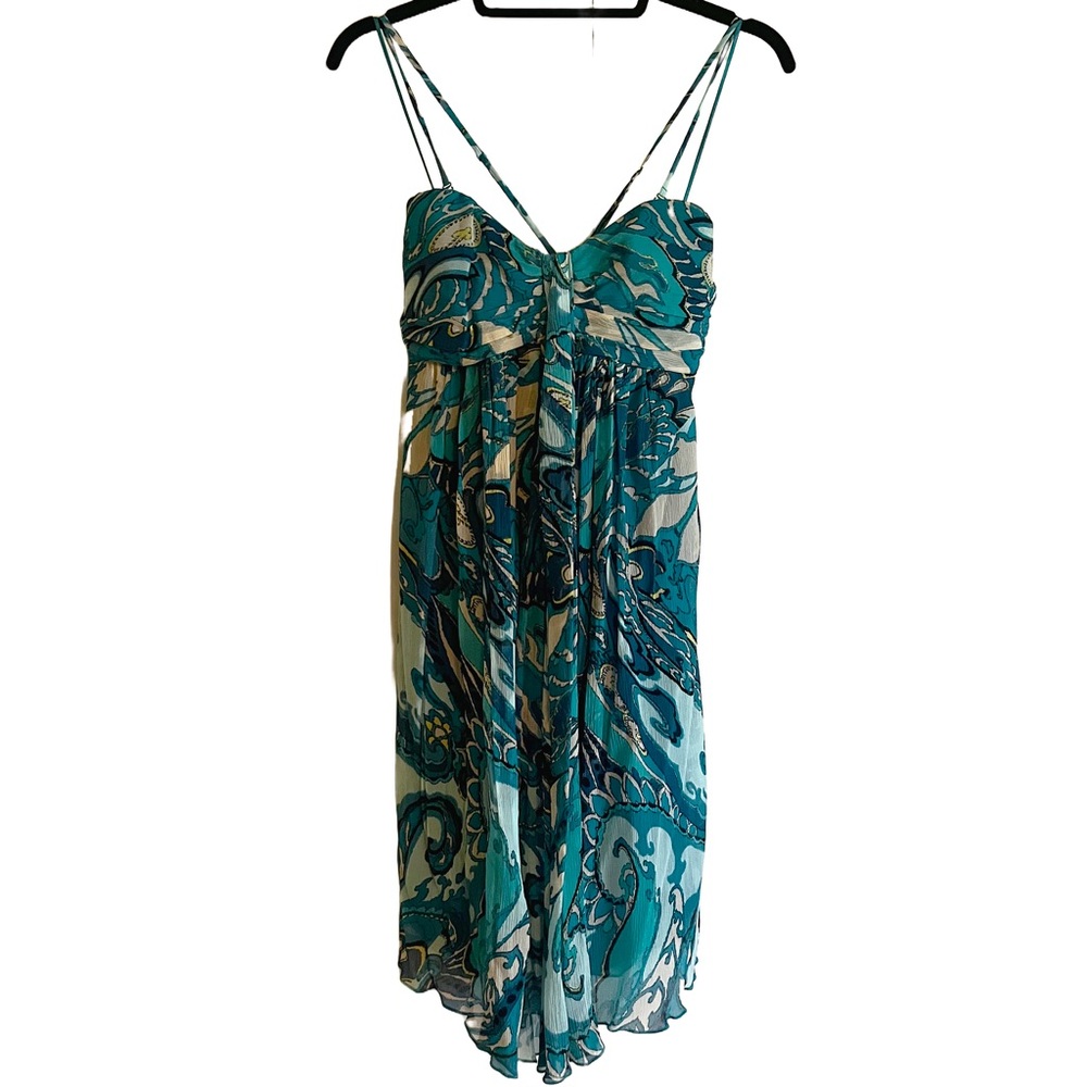 Express Silk Dress